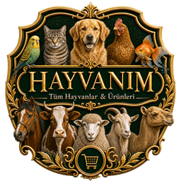 Hayvanım